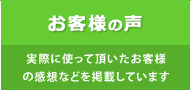 ���q�l�̐�